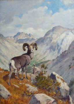 羊飼い Painting - ルンギウスオオツノとシロイワヤギ